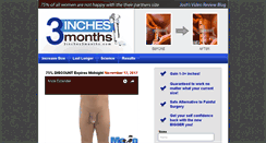 Desktop Screenshot of 3inches3months.com
